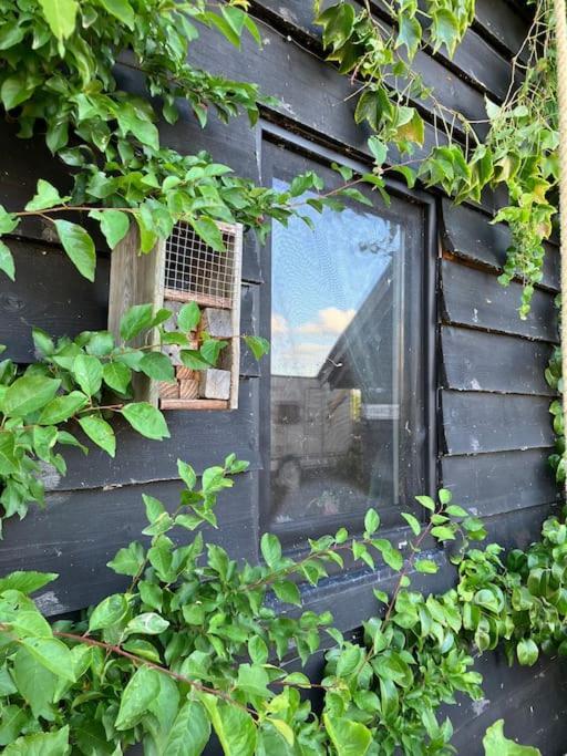 The Tiny Garage Apartment Kampen Ngoại thất bức ảnh